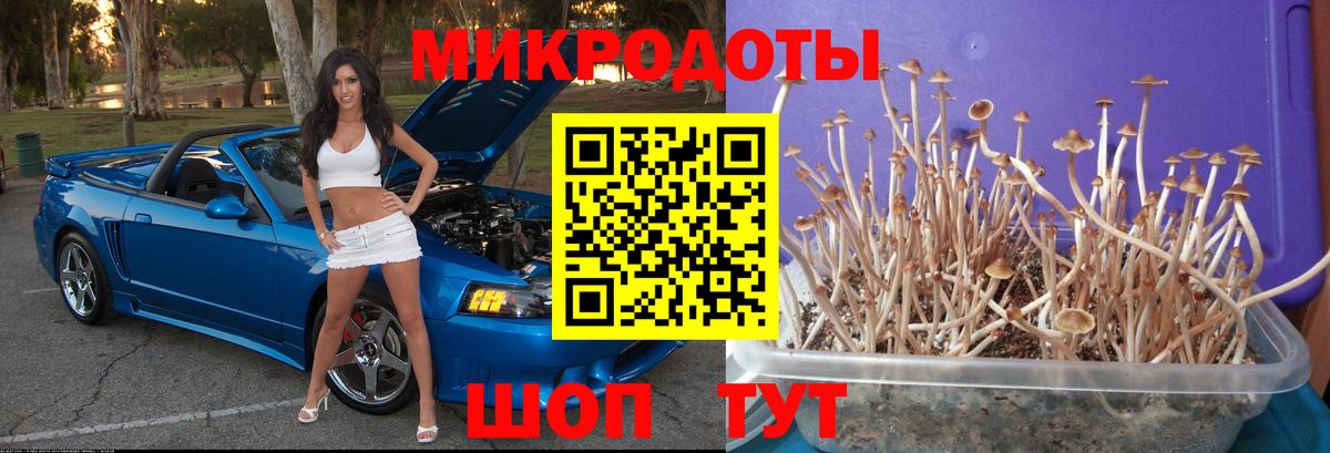 Красногорск  закладки  Вход с VPN  Галлюциногенные грибы Magic Shrooms 